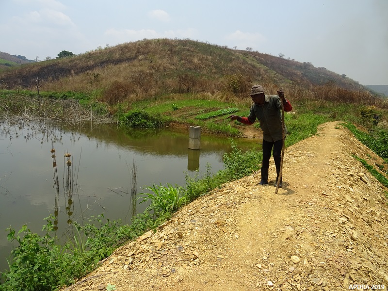 Etang barrage