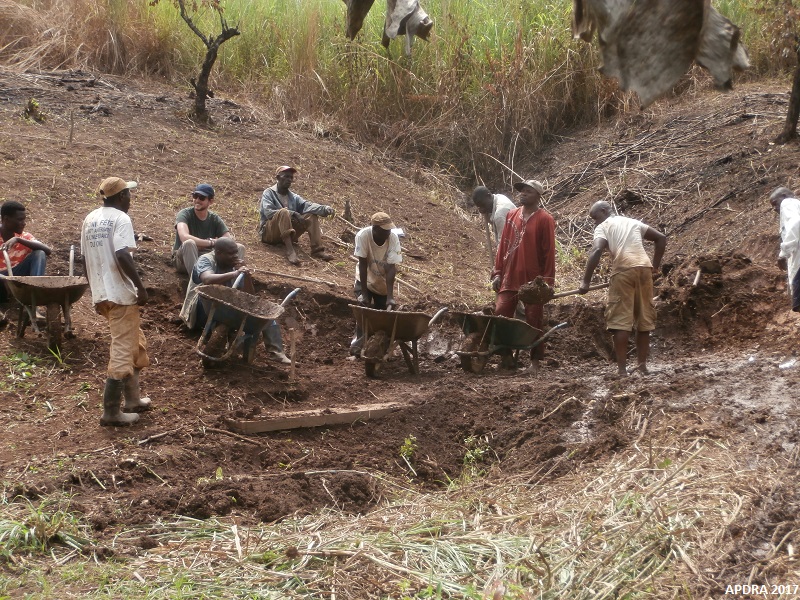 Construction d'une digue