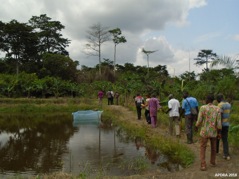 Visite de terrain