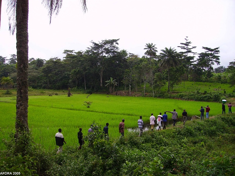 Visite de terrain