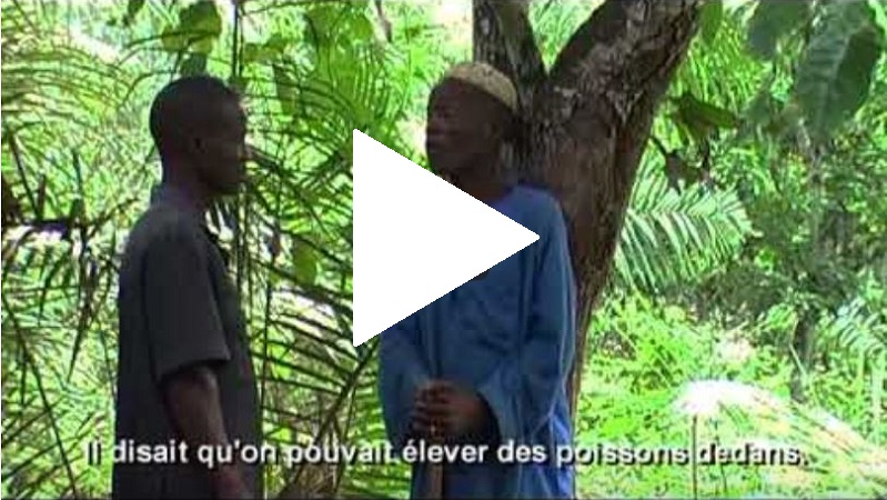 Guinee video 2a